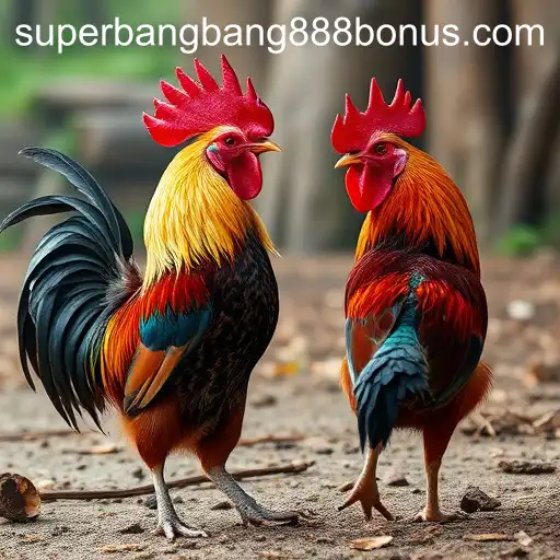 Exploring the World of Sabong Games: The Rise of Superbangbang888